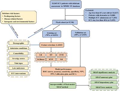 Interpretable machine learning model for early prediction of delirium in elderly patients following intensive care unit admission: a derivation and validation study